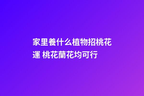 家里養什么植物招桃花運 桃花蘭花均可行